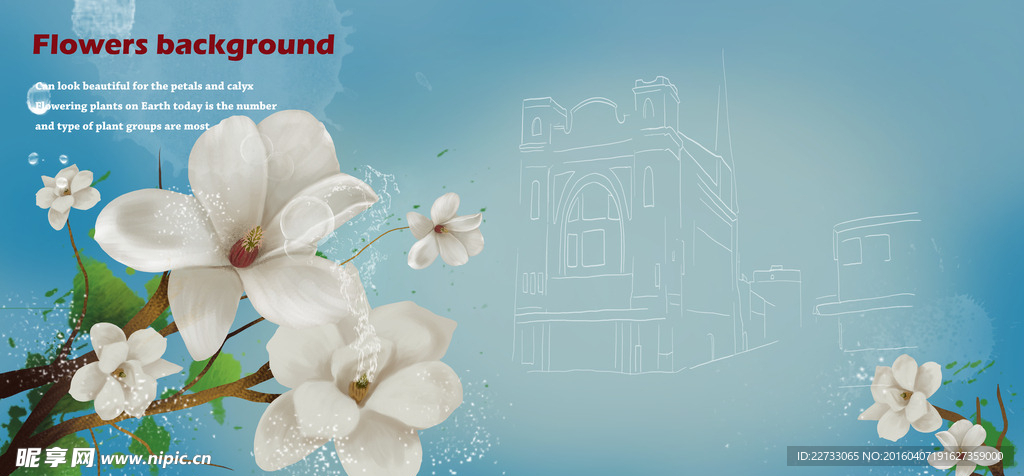 白色花卉背景源文件