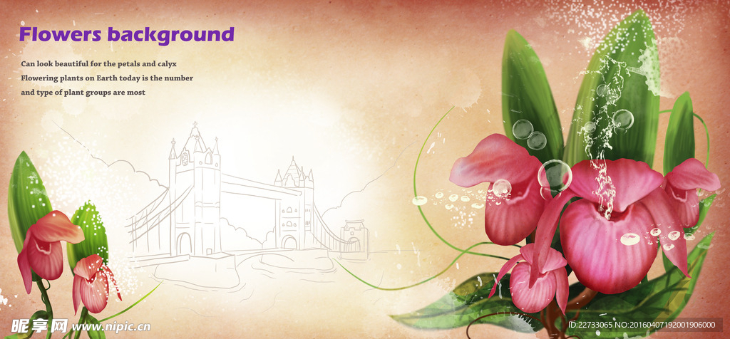 花卉装饰背景图设计PSD