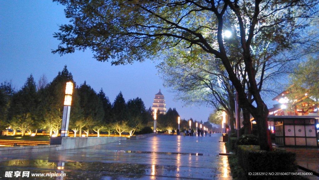 西安大雁塔夜景