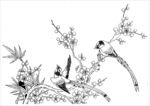 花鸟花纹花边