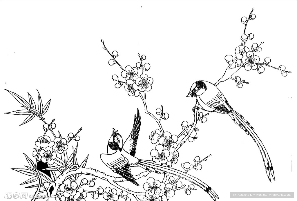 花鸟花纹花边