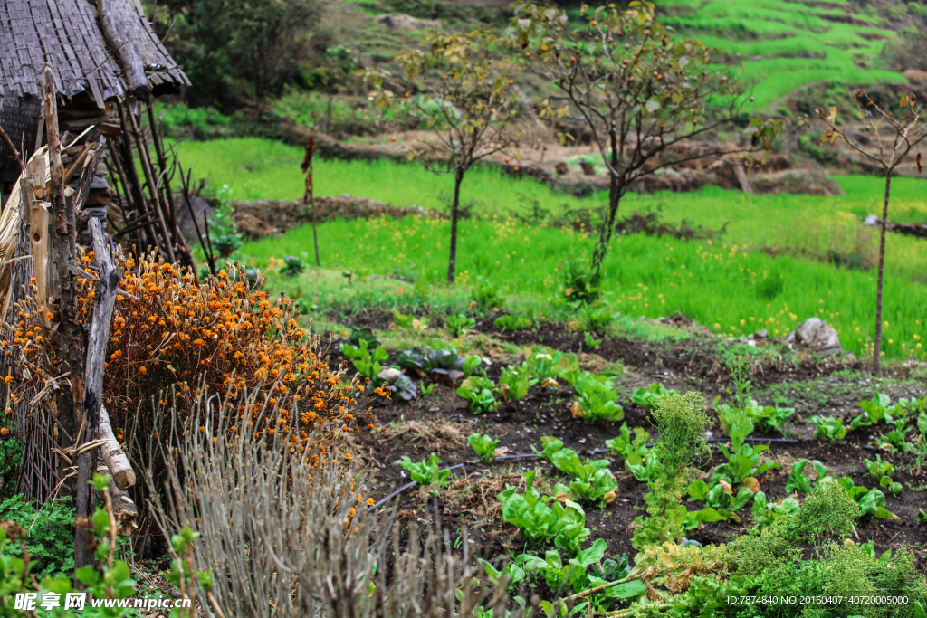 尼泊尔自然风光