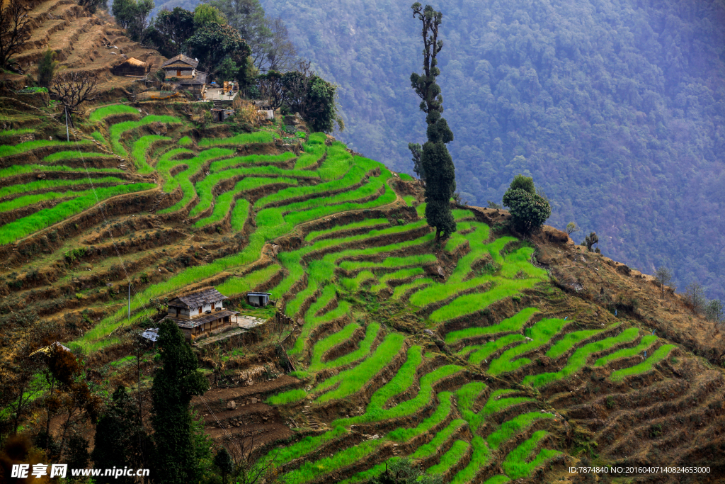 尼泊尔自然风光