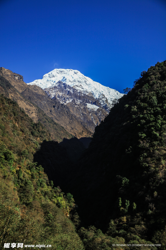 尼泊尔雪山