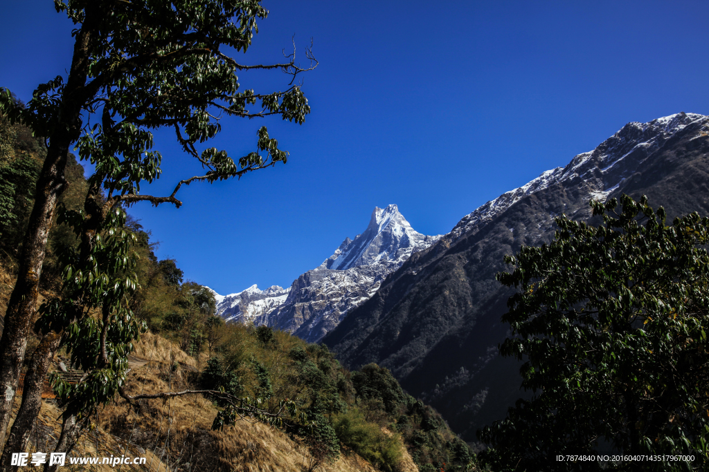 尼泊尔雪山