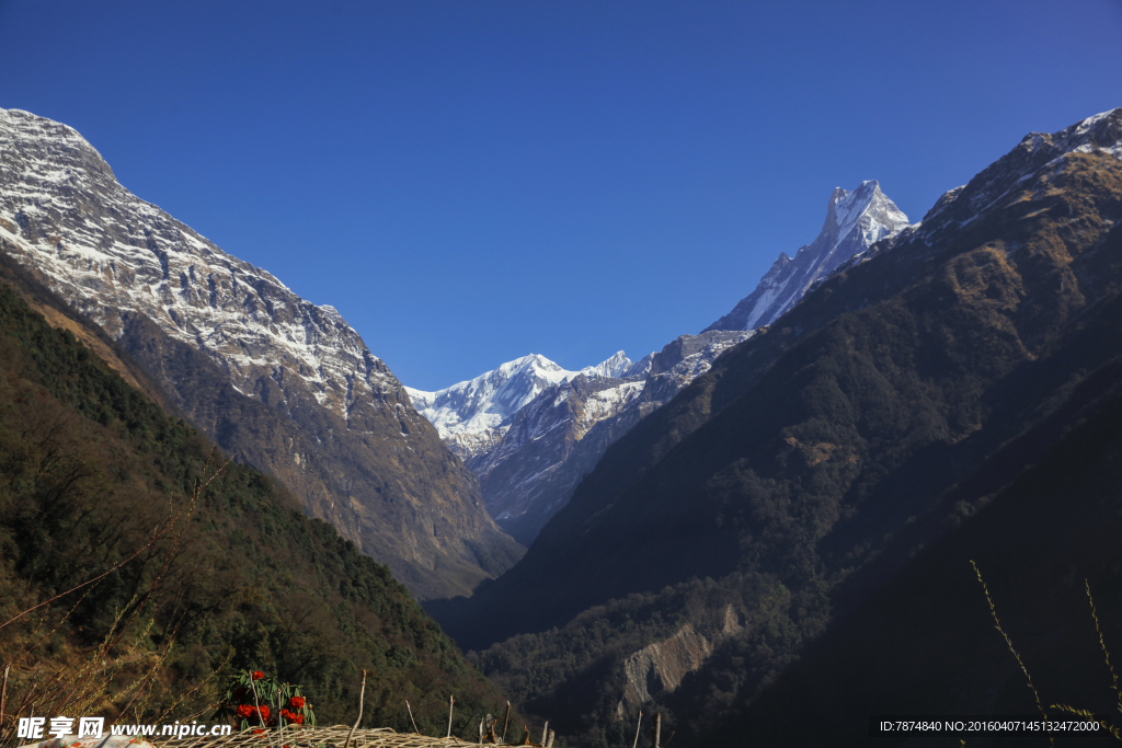 尼泊尔雪山