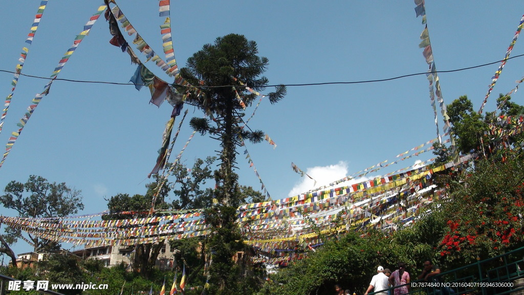 尼泊尔风光