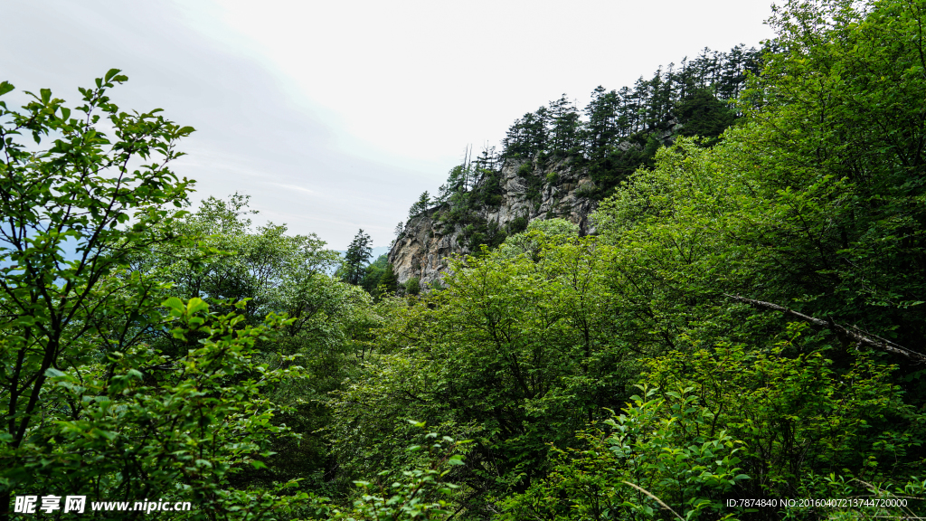 太白山风光