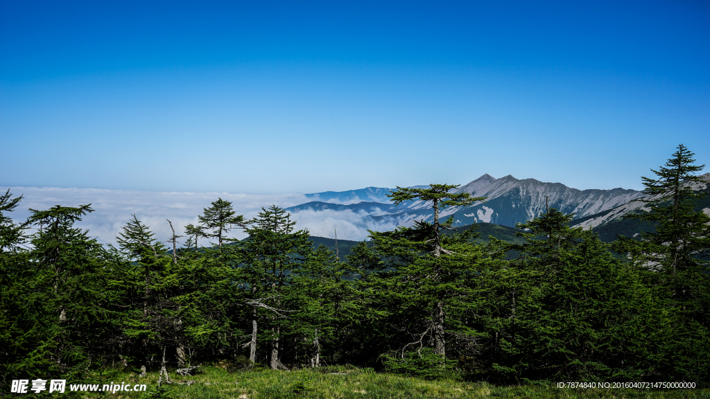 太白山风光