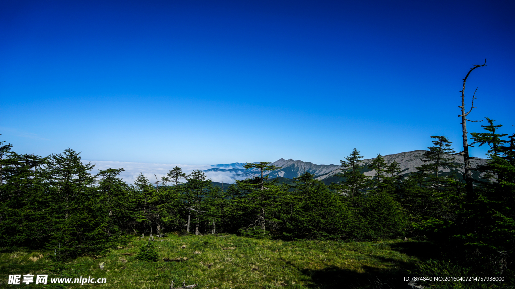 太白山风光