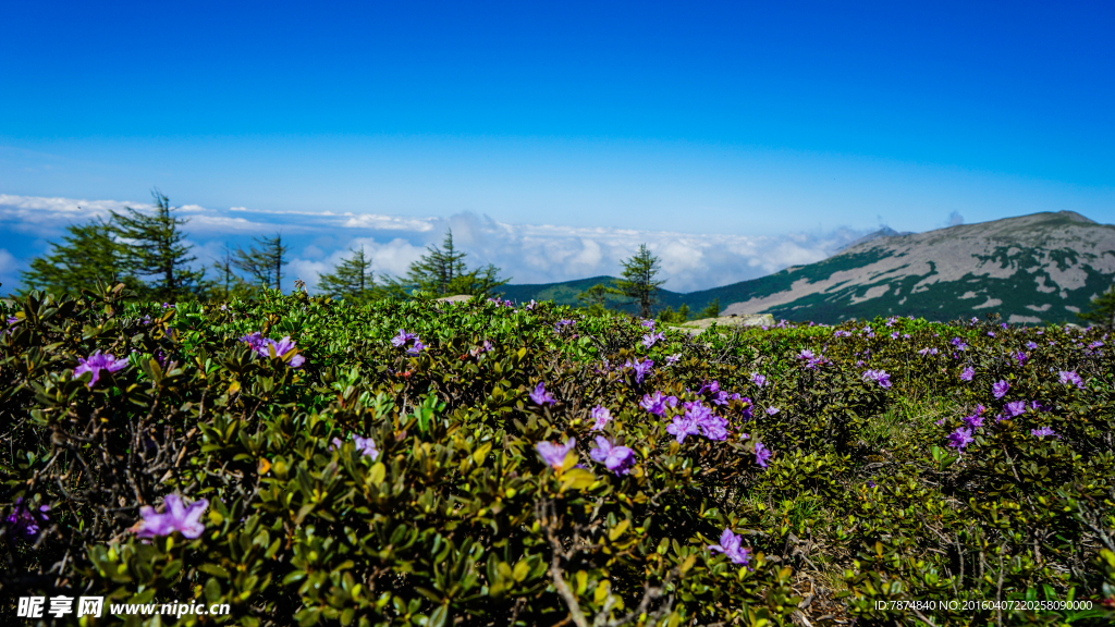 太白山风光