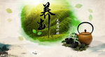 养生大不同