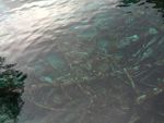 九寨沟