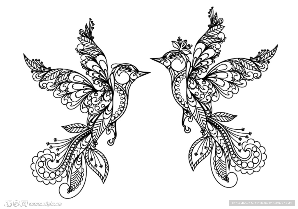 小鸟线描