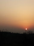 夕阳