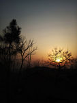 夕阳