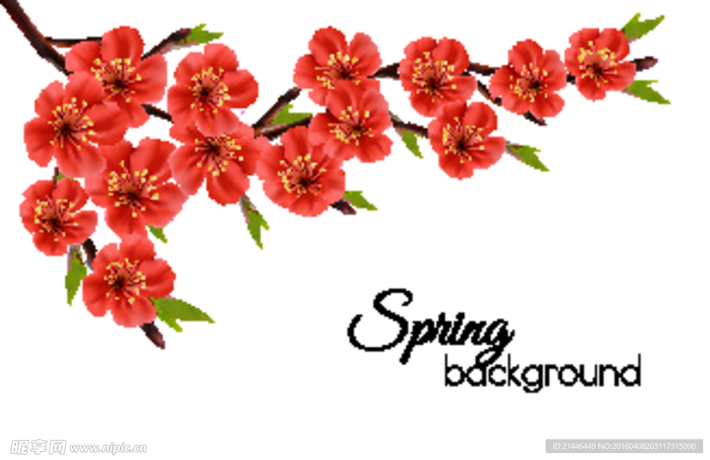 美丽花朵 春季矢量图 红花