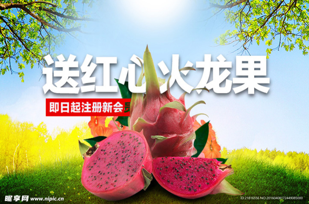 红心火龙果促销