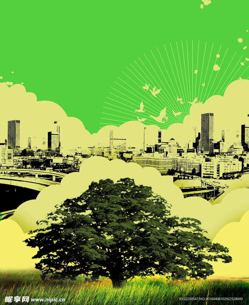 树与城市