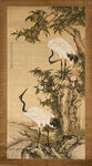 仙鹤松树国画图片素材