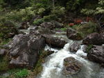 山水风景