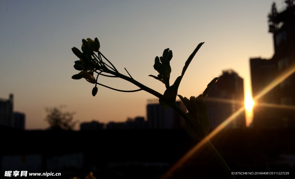 城市夕阳