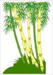 竹子
