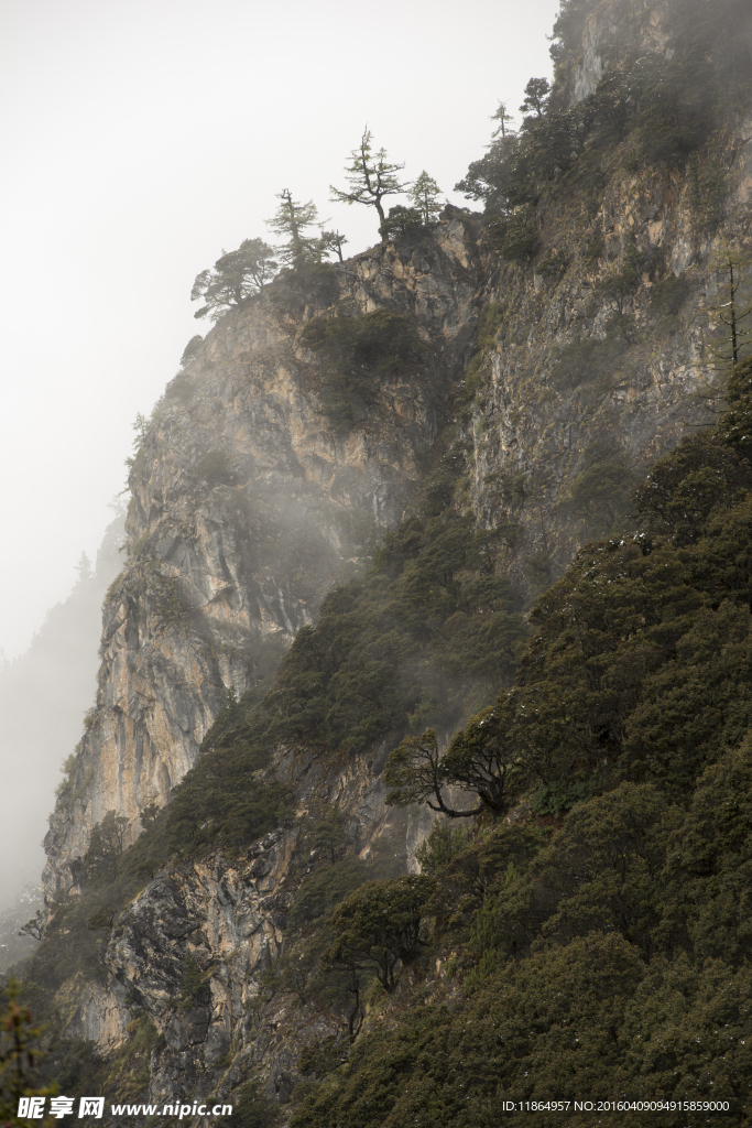 青山美景