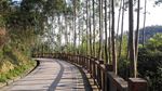 路面阳光影子