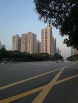 高楼大厦