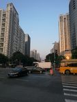 高楼大厦
