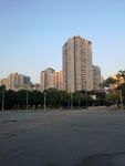 高楼大厦