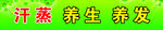 汗蒸 养生 养发