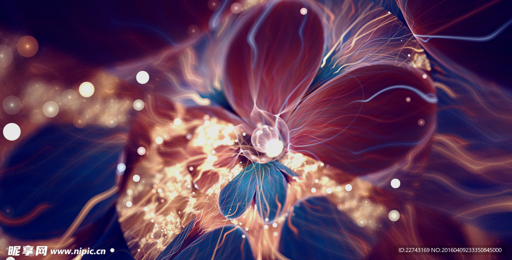 花朵装饰画