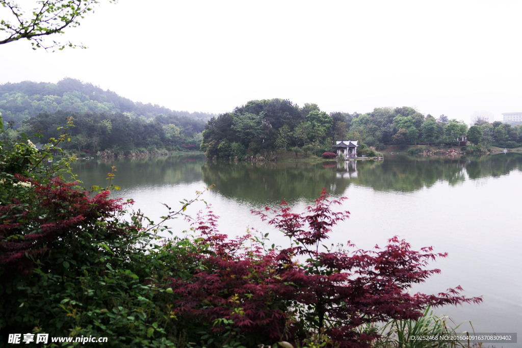 公园水景