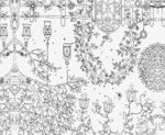 花纹