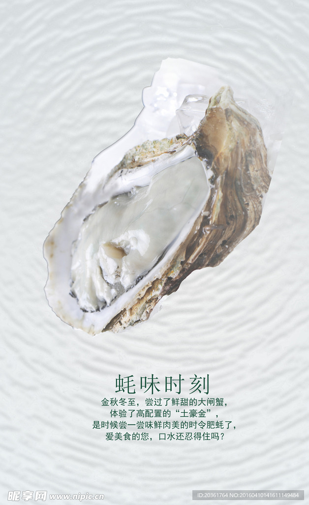 生蚝海报