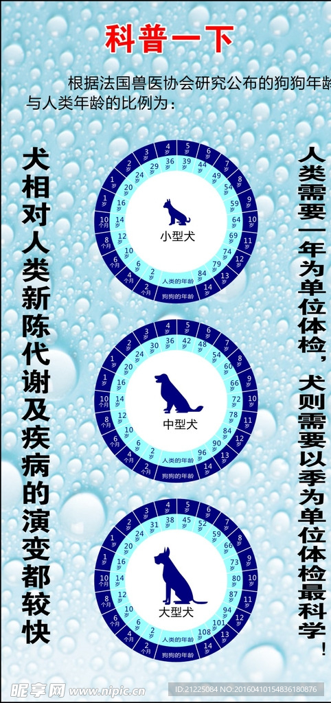 宠物年龄