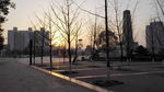 广场 晨曦