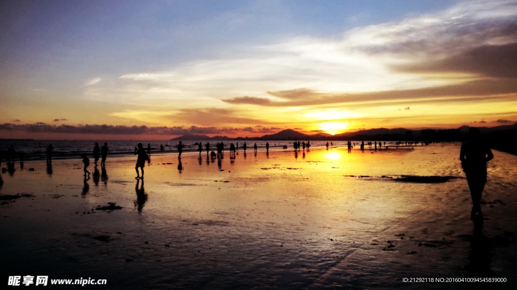 夕阳红