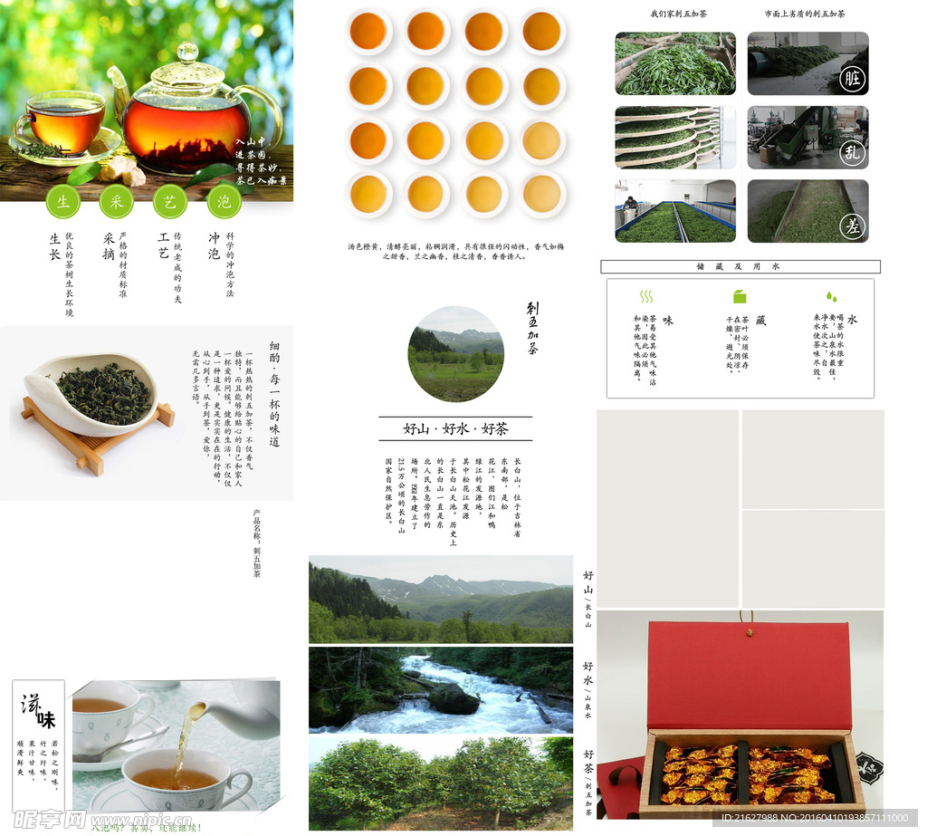 刺五加茶详情页