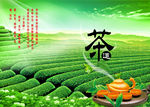 茶园