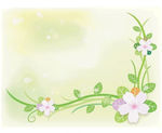 清新小花绿色枝条 转角花边