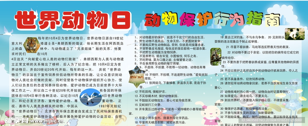 动物保护日宣传栏
