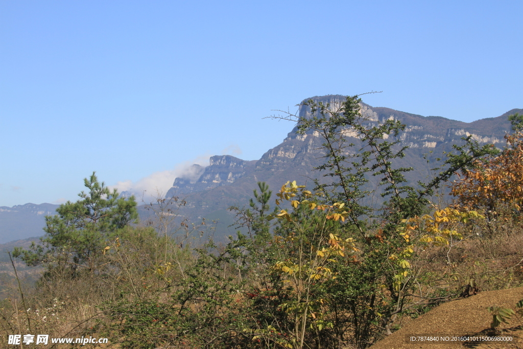 大王岩风光