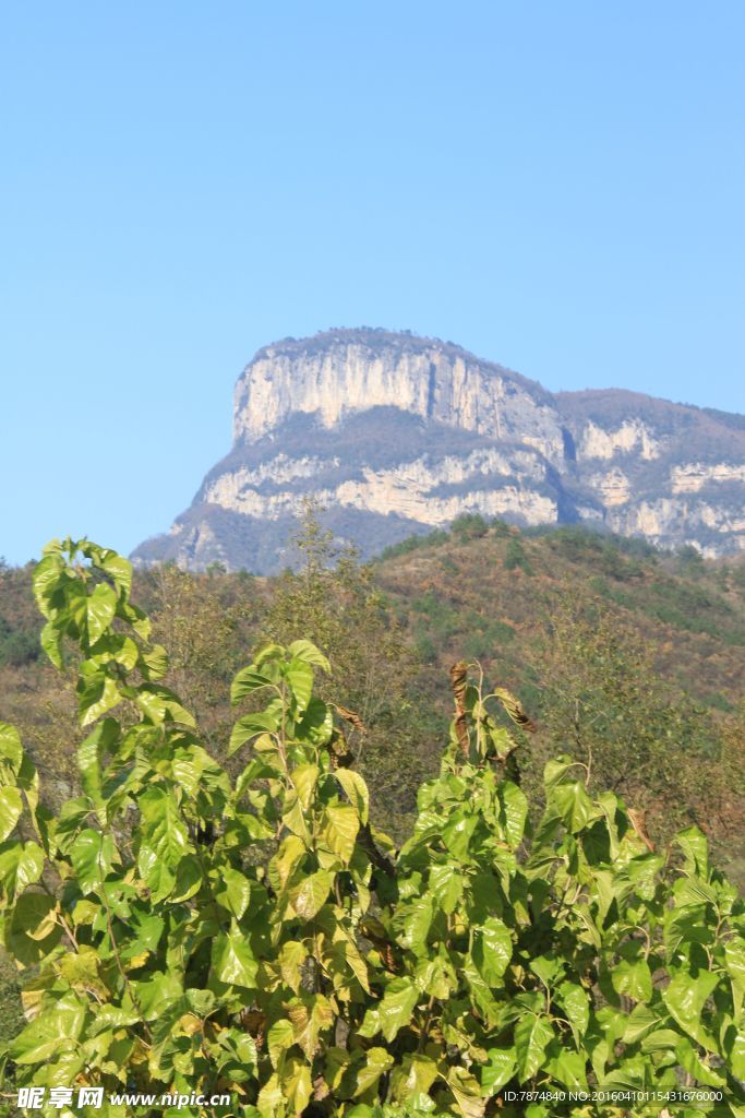 大王岩风光