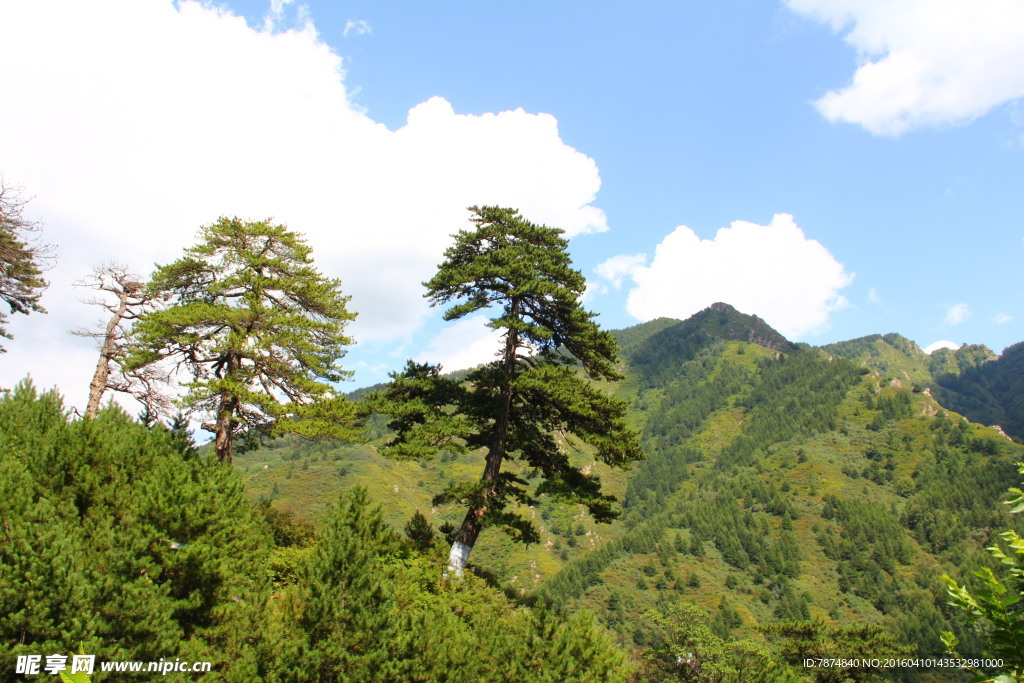 五台山风光
