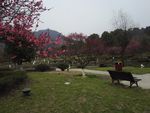 自然风景素材