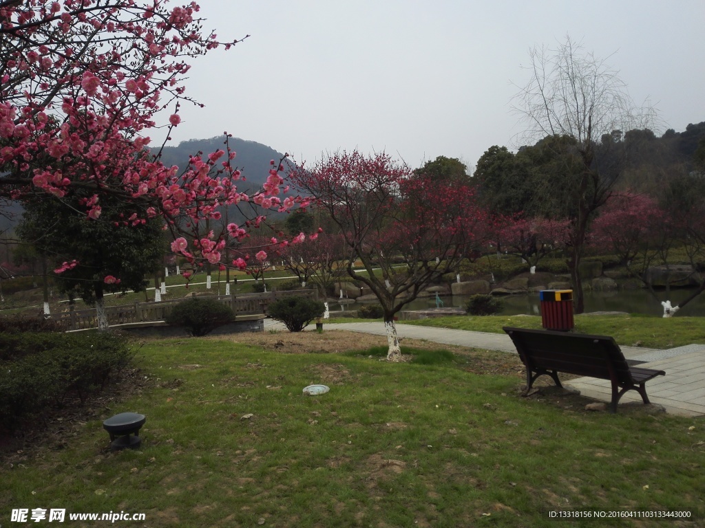自然风景素材