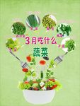 蔬菜海报